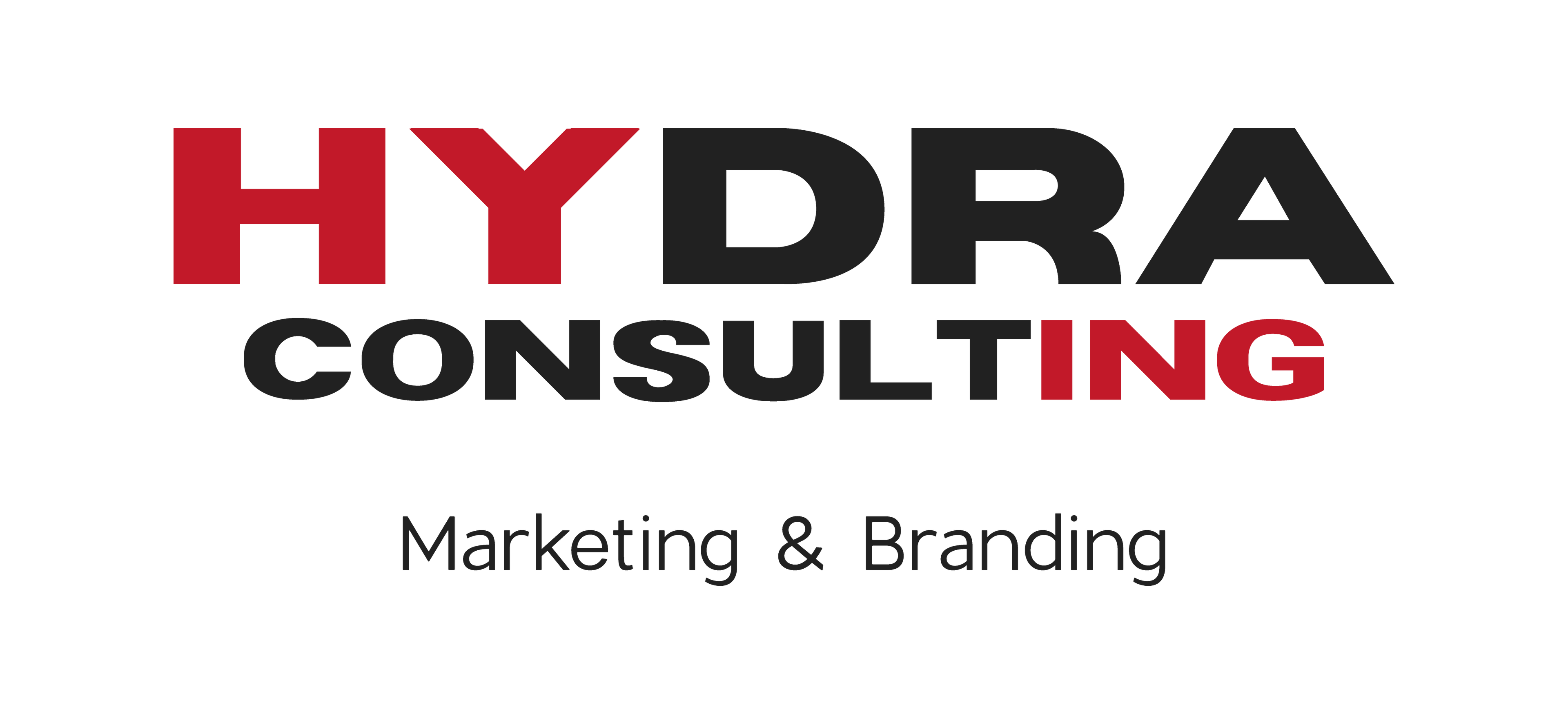 HYDRA CONSULTING